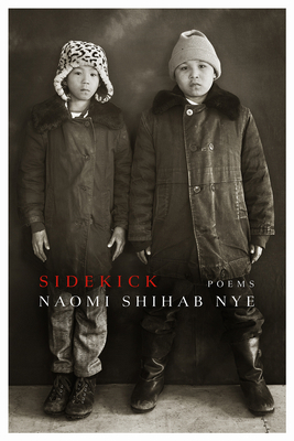 Sidekick 1968507094 Book Cover