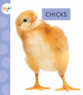 Chicks 1681523671 Book Cover