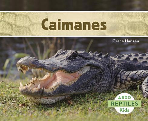 Caimanes [Spanish] 1496604997 Book Cover