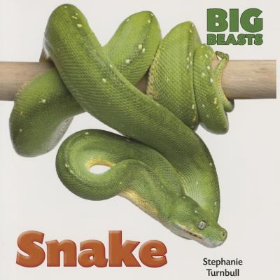 Snake (Big Beasts) 1770922199 Book Cover