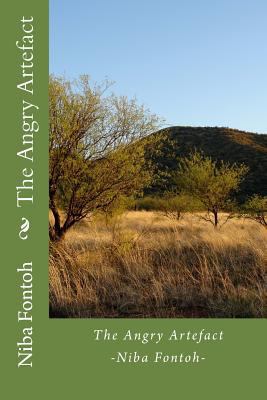 The Angry Artefact 1517771668 Book Cover