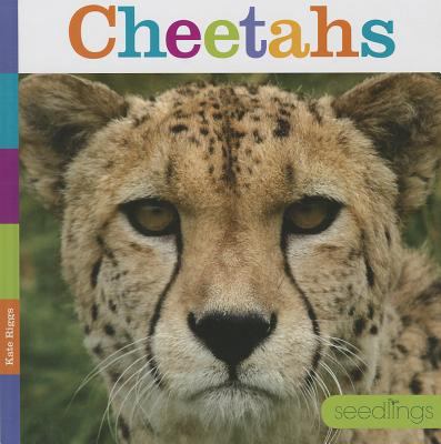 Cheetahs 1608184528 Book Cover