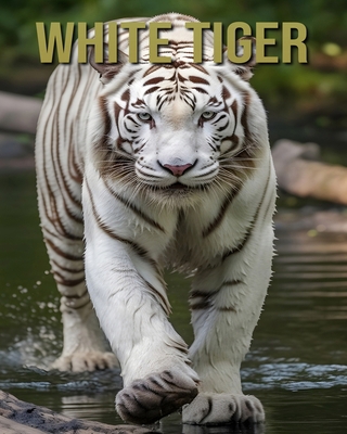 White Tiger: Learn About White Tiger and Enjoy ...            Book Cover