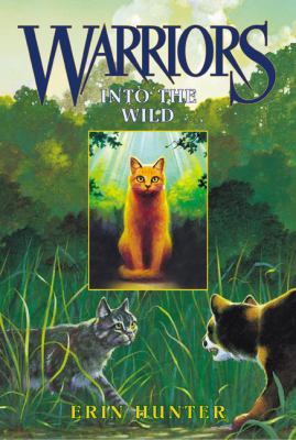 Into the Wild 0613883640 Book Cover