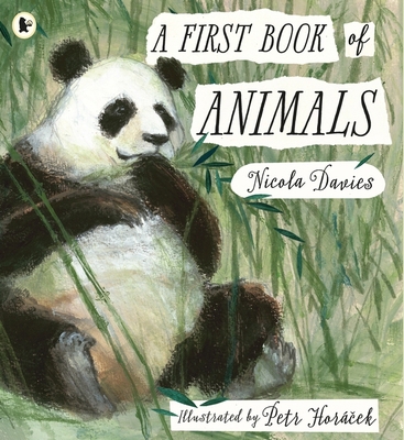 A First Book of Animals 1406378127 Book Cover