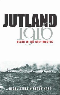 Jutland 1916: Death in the Grey Wastes 0304358924 Book Cover