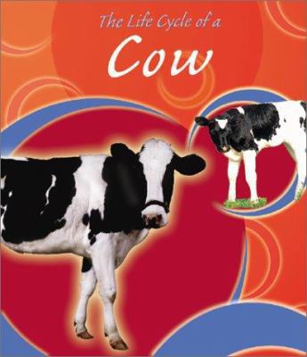 The Life Cycle of a Cow 0736814515 Book Cover