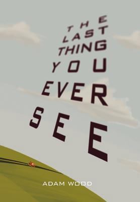The Last Thing You Ever See 146289688X Book Cover
