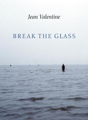 Break the Glass 155659321X Book Cover