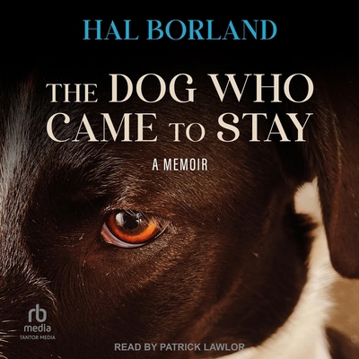 The Dog Who Came to Stay: A Memoir            Book Cover