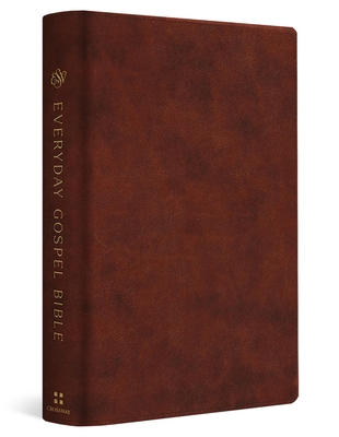ESV Everyday Gospel Bible: Connecting Scripture... 1433595702 Book Cover