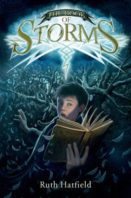 Book of Storms 1250073464 Book Cover