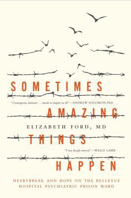 Sometimes Amazing Things Happen: Heartbreak and... 1941393438 Book Cover