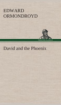 David and the Phoenix 3849517810 Book Cover