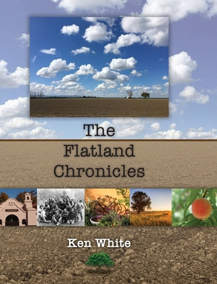 The Flatland Chronicles 1735438405 Book Cover