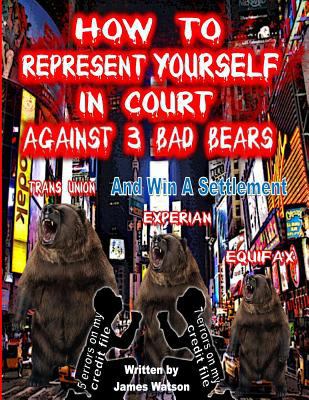 How to Represent yourself in Court Against 3 Ba... 0964135698 Book Cover