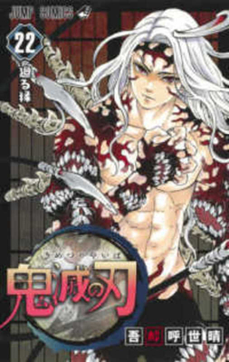Devil's Blade 22 [Japanese] 4088824245 Book Cover