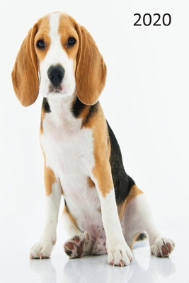 2020: Dog Diary, Planner, Agenda - Week Per Vie... 1709372109 Book Cover
