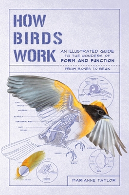 How Birds Work: An Illustrated Guide to the Won... 1615196471 Book Cover
