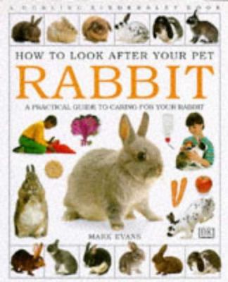 Rabbit 0751353981 Book Cover