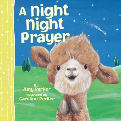 A Night Night Prayer 1400324319 Book Cover