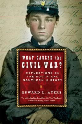 What Caused the Civil War?: Reflections on the ... 0393328538 Book Cover