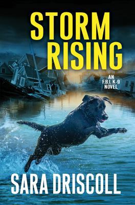 Storm Rising 1496704452 Book Cover