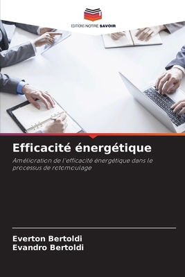 Efficacité énergétique [French] 6207273249 Book Cover