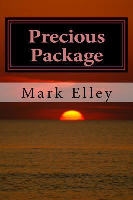 Precious Package: A John Doyle Mystery 1508720282 Book Cover