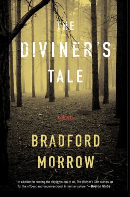 The Diviner's Tale B0099RHO5Y Book Cover