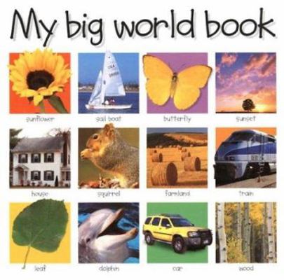 My Big World Book book by Roger Priddy