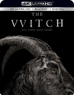 The Witch            Book Cover
