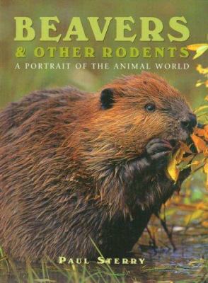 Beavers & Other Rodents: A Portrait of the Anim... 1577170776 Book Cover