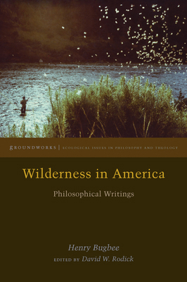 Wilderness in America: Philosophical Writings 0823275353 Book Cover