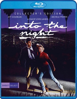 Into The Night            Book Cover