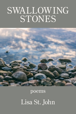 Swallowing Stones 1639802495 Book Cover