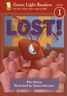 Lost! 0152048642 Book Cover