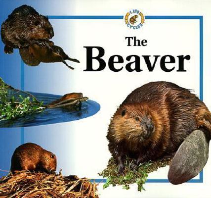 Beaver 0613197496 Book Cover