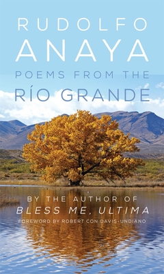 Poems from the Río Grande: Volume 14 0806148667 Book Cover
