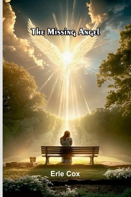 The Missing Angel 9374124351 Book Cover