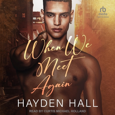 When We Meet Again B0F418X6ZG Book Cover