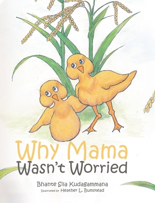 Why Mama Wasn't Worried 1648011160 Book Cover