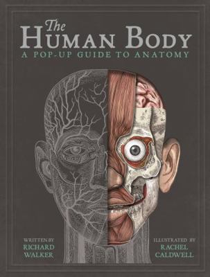 Human Body            Book Cover