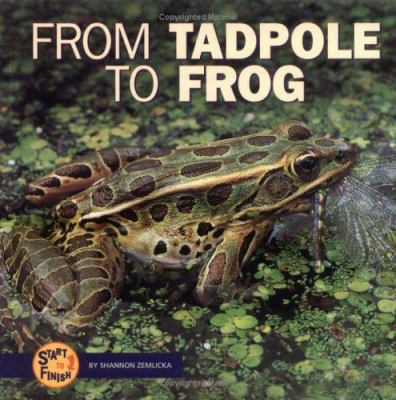 From Tadpole to Frog 0822503999 Book Cover