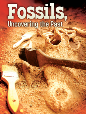 Fossils: Uncovering the Past (Let's Explore Sci... 1617419842 Book Cover