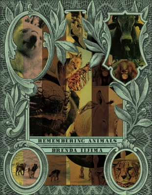 Remembering Animals 193765849X Book Cover