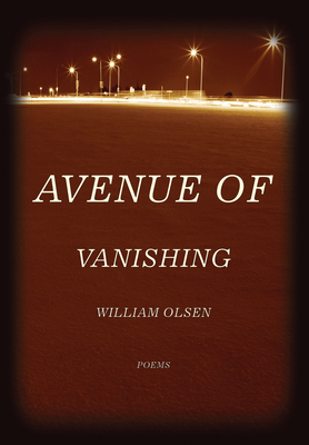 Avenue of Vanishing 0810151820 Book Cover