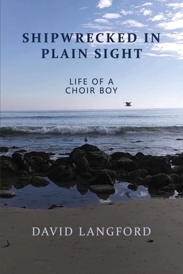 Shipwrecked in Plain Sight: Life of a Choir Boy B0CKDN7SX1 Book Cover