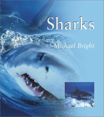 SHARKS PB (Natural World) 1588340279 Book Cover