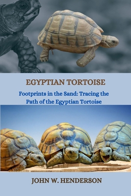 Egyptian Tortoise: Footprints in the Sand: Trac... B0CVVQS1SZ Book Cover